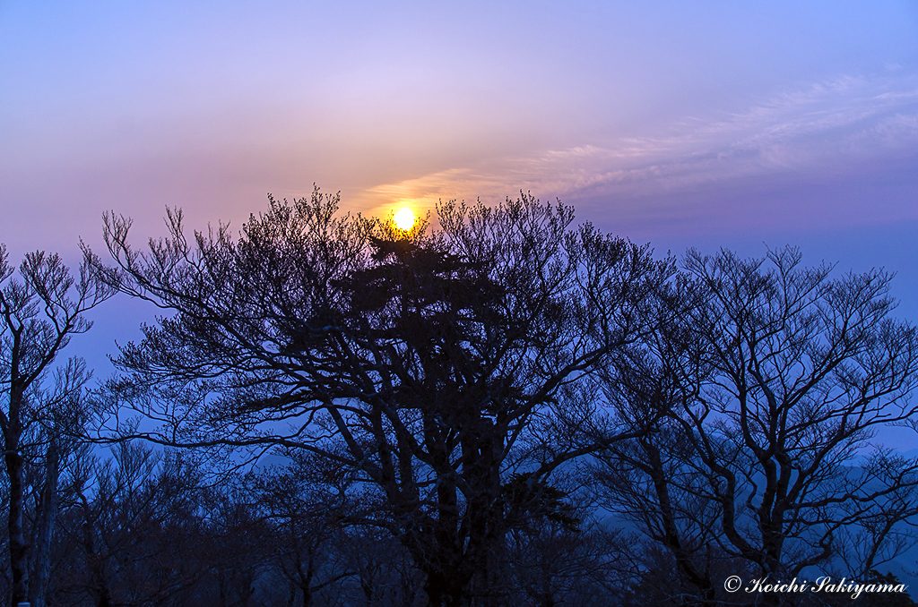 大台ケ原から見る日の出はいつも心を癒してくれます