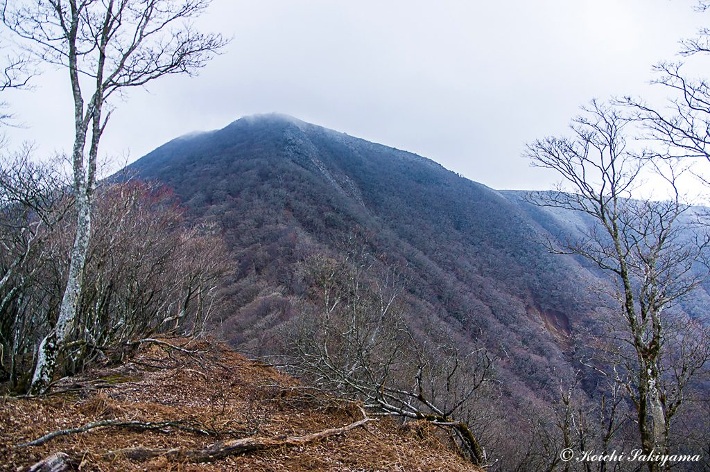 多志田山付近から藤原岳